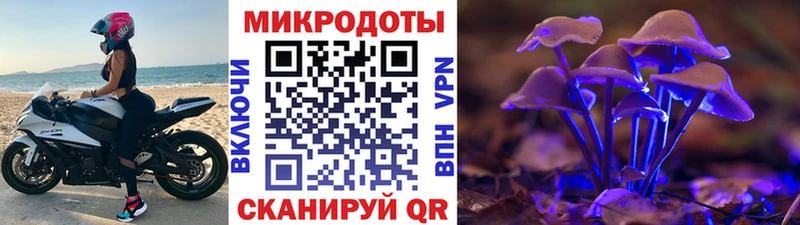 закладка  Лабытнанги  Галлюциногенные грибы ЛСД 